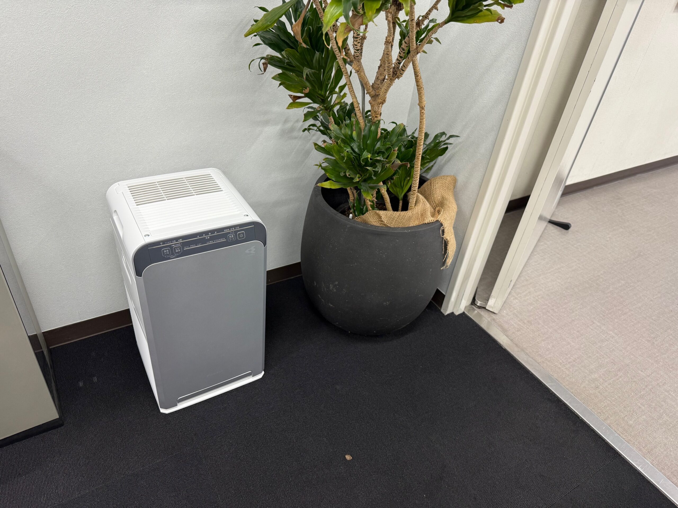 【神戸市 事務所】空気清浄機ACB50Z-S導入